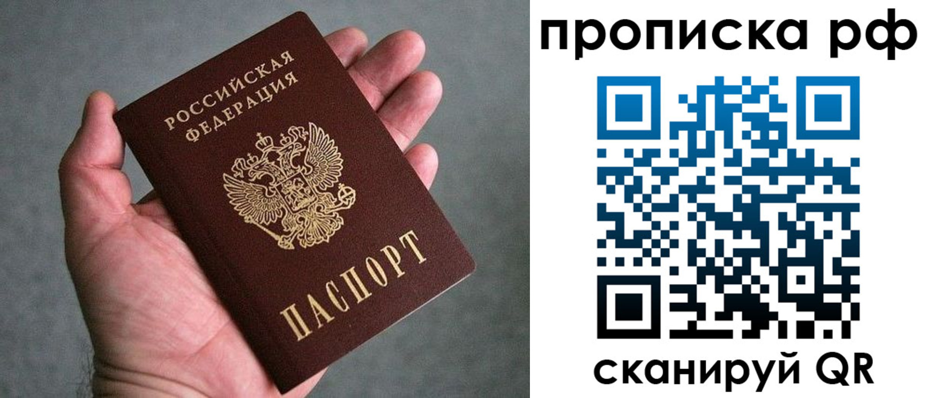 купить прописку в Светлом